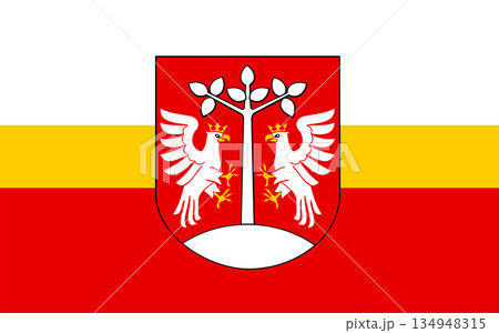 The flag of Myslynytsky District 134948315