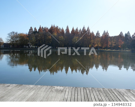 水面の景色 水面の景色 134948332