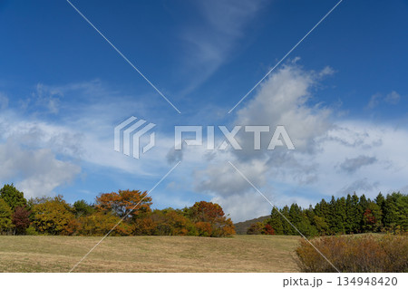 爽やかな青空のもと広がる高原の秋の風景 爽やかな青空のもと広がる高原の秋の風景 134948420