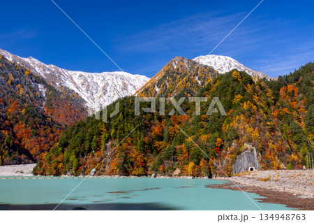 長野県大町市平 鮮やかなミルキーブルーの高瀬ダム調整湖の紅葉と青空に映える冠雪した山々の景色 長野県大町市平 鮮やかなミルキーブルーの高瀬ダム調整湖の紅葉と青空に映える冠雪した山々の景色 134948763