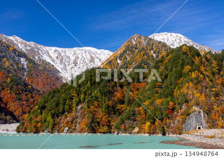 長野県大町市平　鮮やかなミルキーブルーの高瀬ダム調整湖の紅葉と青空に映える冠雪した山々の景色 134948764