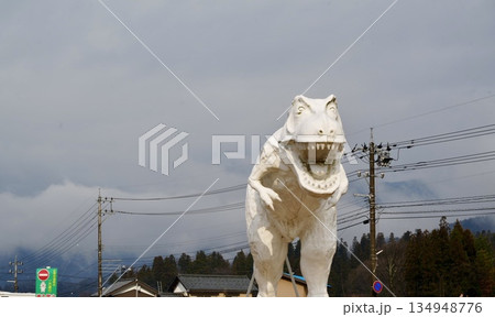 曇り空のホワイトザウルス 曇り空のホワイトザウルス 134948776