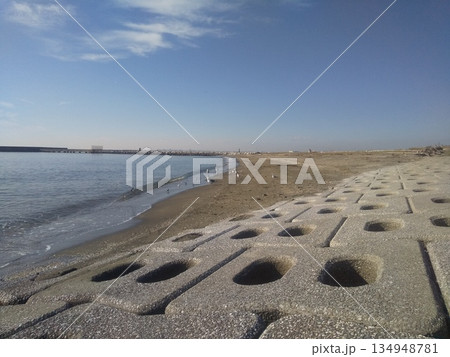 検見川浜の海岸で給餌をするミユビシギ、ユリカモメ、セグロカモメ 検見川浜の海岸で給餌をするミユビシギ、ユリカモメ、セグロカモメ 134948781