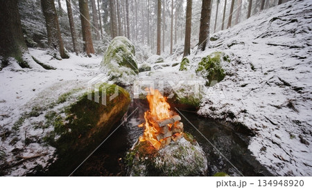Beautiful Crackling Campfire in the Winter Forest with Mossy Stones and Gurgling Stream , Authentic Place 134948920
