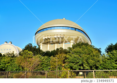 東京 江東区有明スポーツセンター 東京 江東区有明スポーツセンター 134949371
