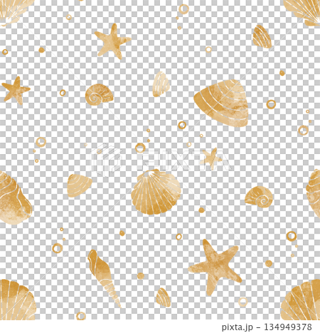 pattern, seashell, shell 134949378