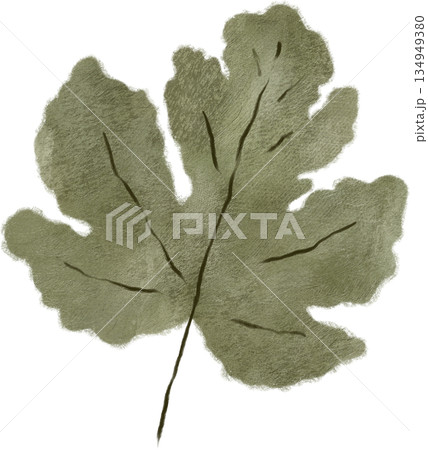 Fig leaf oil illustration Fig leaf oil illustration 134949380