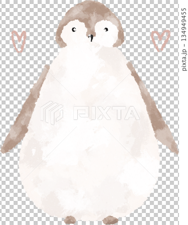 penguin, heart, bird 134949455