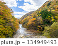 色鮮やかに紅葉している西沢渓谷 134949493