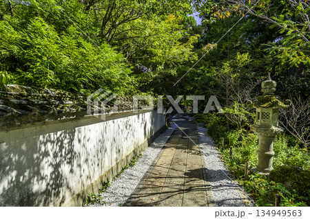 四国八十八箇所28番　大日寺　奥の院への道　高知県香南市 134949563