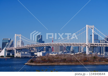 東京湾　レインボーブリッジと海岸の風景 134949644