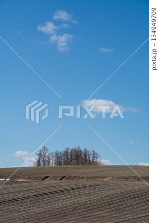 春の畑と青空 134949709