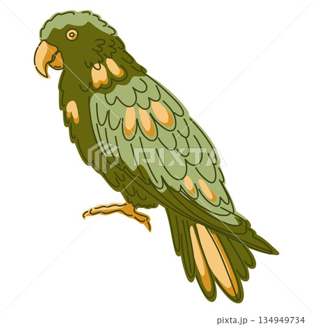 vector illustration of a parrot icon 134949734