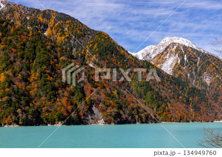 長野県大町市平　鮮やかなミルキーブルーの高瀬ダム調整湖の紅葉と青空に映える冠雪した山の景色 134949760