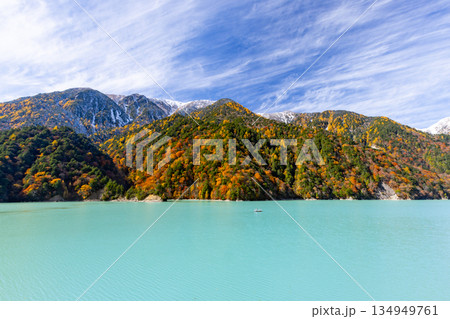 長野県大町市平　鮮やかなミルキーブルーの高瀬ダム調整湖の紅葉と青空に映える冠雪した山の景色 134949761
