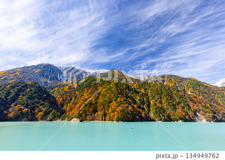 長野県大町市平　鮮やかなミルキーブルーの高瀬ダム調整湖の紅葉と青空に映える冠雪した山の景色 134949762