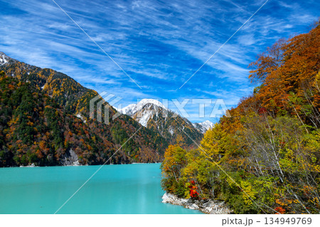 長野県大町市平　鮮やかなミルキーブルーの高瀬ダム調整湖の紅葉と青空に映える冠雪した山の景色 134949769
