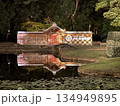 小石川後楽園のライトアップ 134949895