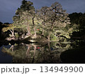 小石川後楽園のライトアップ 134949900