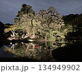小石川後楽園のライトアップ 134949902