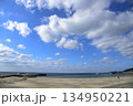晴れた日の吹上浜／江口浜海水浴場 134950221