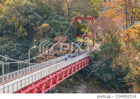 新城市の桜淵公園の風景(愛知県) 134950314
