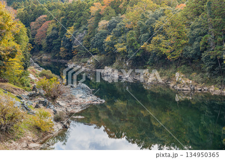新城市の桜淵公園の風景(愛知県) 新城市の桜淵公園の風景(愛知県) 134950365