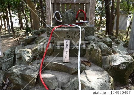 南あわじ市おのころ島神社の境内にある鶺鴒石 134950497