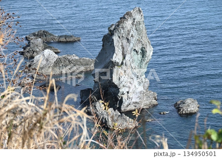 古事記の天の御柱と言われる、南あわじ市沼島にある上立神岩 134950501