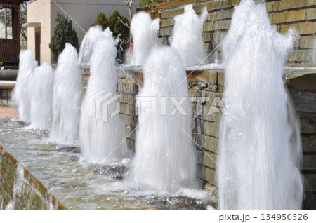 3月河内長野市の寺が池公園の噴水 134950526