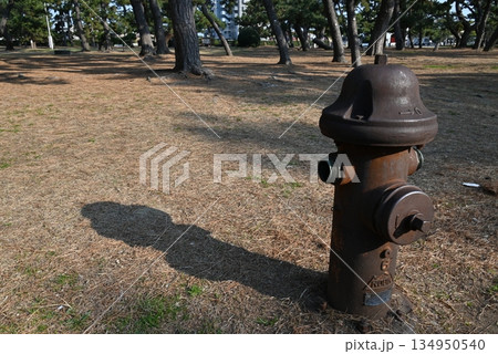 大阪府浜寺公園の松林にある古い消火栓のオブジェ 大阪府浜寺公園の松林にある古い消火栓のオブジェ 134950540