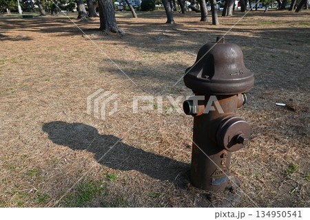 大阪府浜寺公園の松林にある古い消火栓のオブジェ 大阪府浜寺公園の松林にある古い消火栓のオブジェ 134950541