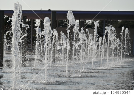 大阪府浜寺公園の噴水 134950544