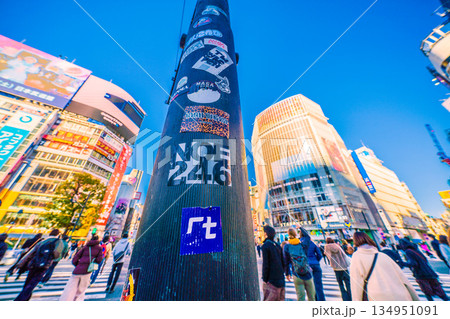 日本の東京都市景観再びシール…。インバウンドが続く渋谷。ほとんどが外国人観光客。剥がされた柱で争奪戦 日本の東京都市景観再びシール…。インバウンドが続く渋谷。ほとんどが外国人観光客。剥がされた柱で争奪戦 134951091