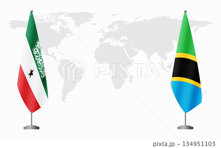 Somaliland and Tanzania flags for official meeting 134951103