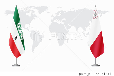 Somaliland and Malta flags for official meeting 134951231