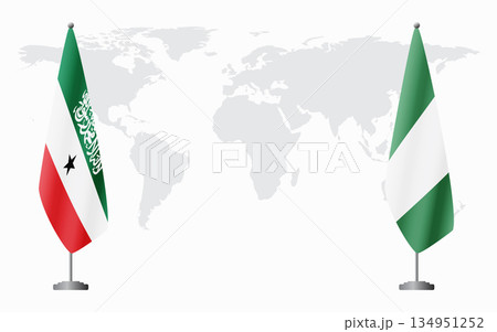Somaliland and Nigeria flags for official meeting 134951252