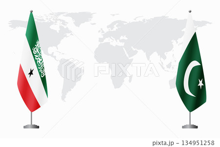 Somaliland and Pakistan flags for official meeting 134951258