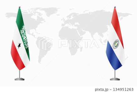 Somaliland and Paraguay flags for official meeting Somaliland and Paraguay flags for official meeting 134951263
