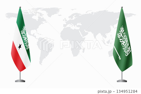 Somaliland and Saudi Arabia flags for official meeting 134951284