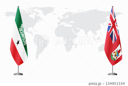 Somaliland and Bermuda flags for official meeting 134951334