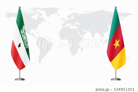 Somaliland and Cameroon flags for official meeting 134951351
