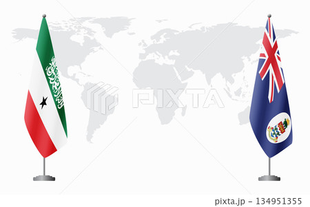 Somaliland and Cayman Islands flags for official meeting 134951355