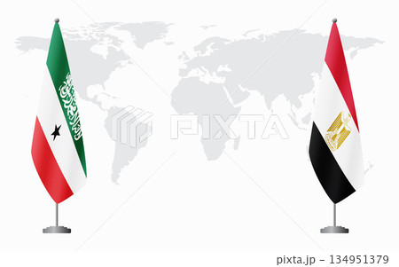 Somaliland and Egypt flags for official meeting 134951379