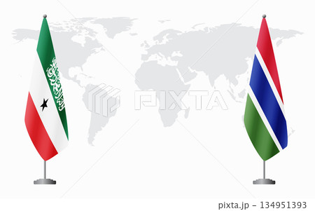 Somaliland and Gambia flags for official meeting 134951393