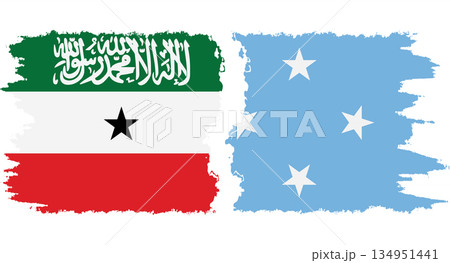 Federated States of Micronesia and Somaliland grunge flags connection v 134951441