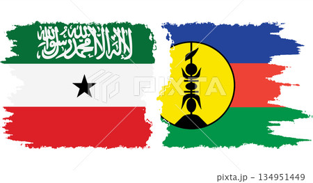 New Caledonia and Somaliland grunge flags connection vector 134951449