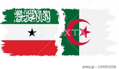 Algeria and Somaliland grunge flags connection vector 134951556