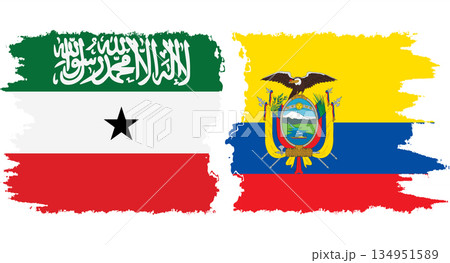 Ecuador and Somaliland grunge flags connection vector 134951589