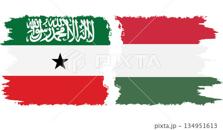 Hungary and Somaliland grunge flags connection vector Hungary and Somaliland grunge flags connection vector 134951613